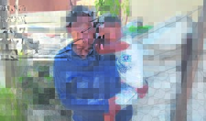 Kleuter (5) op Fort Beaufort deur kragboks beseer