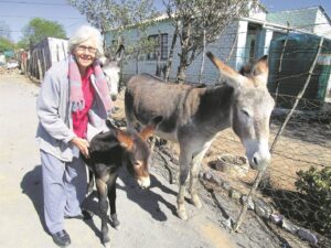 Taking care of neglected animals