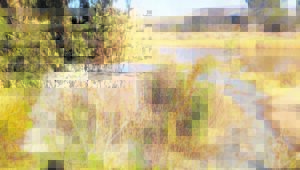 Riool stroom in Visrivier