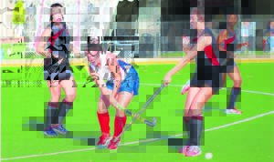 Kwaggas se eerste hokkiespan beïndruk by Sparfees