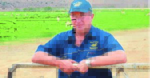 Boere sê mekaar die stryd aan in mieliekompetisie