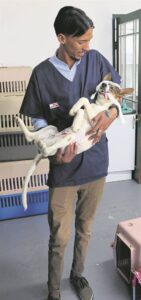 World Spay Day supported