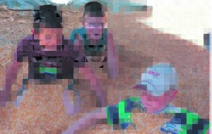 Lifeline to embattled agricultural sector