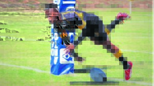 Winterberg sportspanne maak reg vir komende seisoen by sportfees