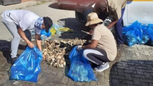 Gqeberha’s flying squad seize abalone in Cradock