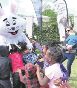 Visitors flock to festive Bedford Garden Festival