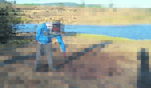 Rondloperseekoei deur gemeenskap verorber