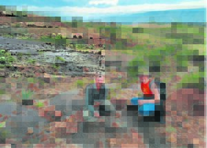 The ancient call of the Karoo – a mecca for palaeontologists