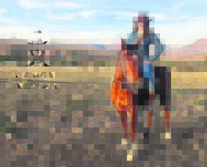 Karoo Ranching Film Festival an unforgettable experience