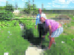 Riool gee Fort Beaufort-families hoofbrekens