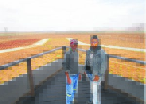 Project to create huge SA flag