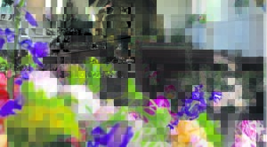 Fees van blomme versier Angklikaanse kerk op Middelburg