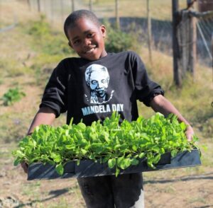 Bedford school provided with sustainable, self-sufficient future