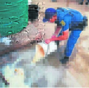 Dranklisensies is onder loep