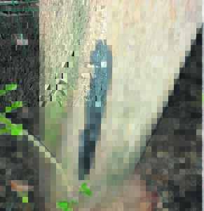 Kommer oor inbrake in Somerset-Oos