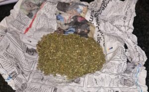 Police seize drugs worth more than R200 000 in Komani