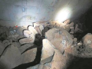 Veediefstal neem toe op Hofmeyr