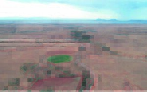 Reën bring lewe vir dié plaas