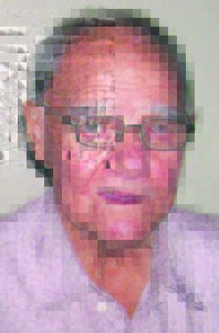 Bejaarde sterf in brand