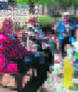 Mark in die Park vier lenteseisoen