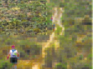 Sneeuberg Traverse gereed om voete aan die gang te kry