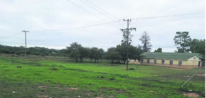 Heinings kry voete in skoolvakansie