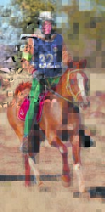 Niks stuit Boerbok nie