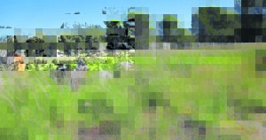 Cradock-begraafplaas in haglike toestand