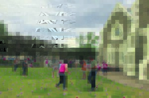 2 000 rose teen kanker