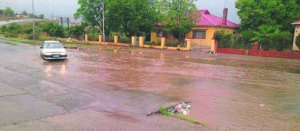 Reën bring min verligting vir boere