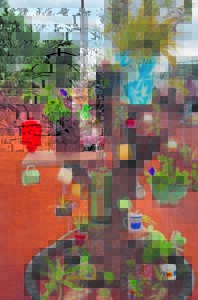 Beste droogtetuin in Hofmeyr aangewys