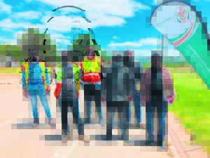 High Court judge interdicts further construction of Fikile Gwadana Drive