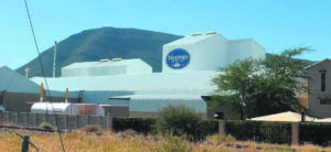 600 Ton hondekos van rakke verwyder