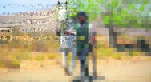 Endurance horse riding hosted outside Middelburg