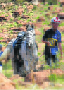 Endurance ride, Eastern Cape Championships results