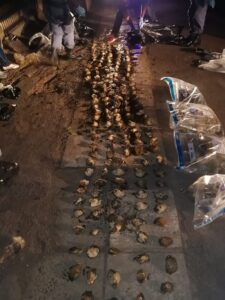 Polisie trek verdagtes naby Maletswai vas vir besit van perlemoen