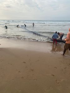 Sardine Run 2025: The greatest shoal on earth arrives in KZN South Coast