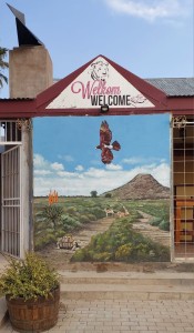 Revive Willowmore dryf dorp se kleurvolle herlewing