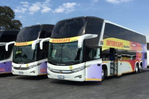 Bus operator warns Eastern Cape officials: obey court orders or face prison