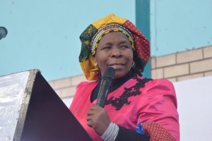 Artisan Development Programme to build a resilient and inclusive economy
