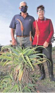 Rommelhoop word buurt se spogtuin