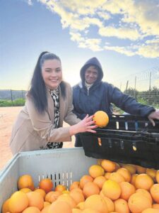 Citrus drive for Kouga