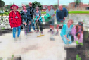 Vind vrede by Jeffreysbaai se labirint