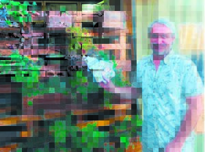 Going vegan is riding the wave