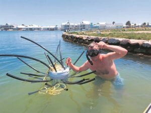 Enjoy new snorkel route at Marina Martinique this festive season