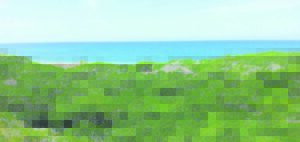 Collaboration yields conservation, environmental success