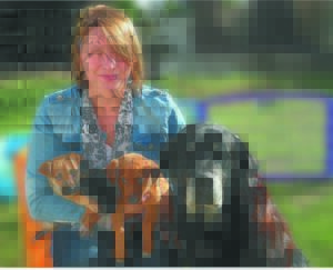 ‘Veldtog’ teen ashoop-honde