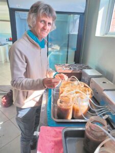 Gesonde grond gee gesonde kos