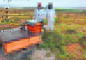 Natuurliefhebbers woeker met bestuiwing