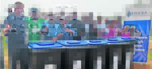 Bins rolled out to Hankey, Patensie